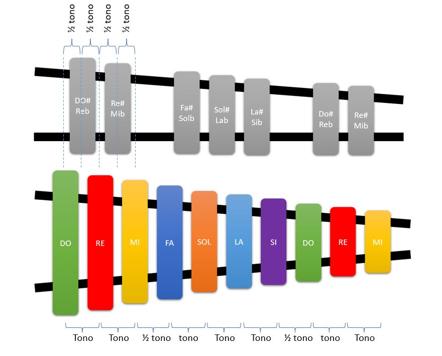 metalofono cromatico con las notas de colores e identificando tonos y semitonos